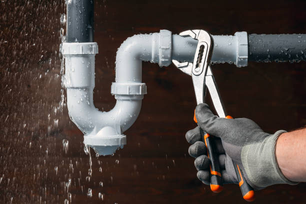 Professional Plumbing technician working in Lemoyne, PA